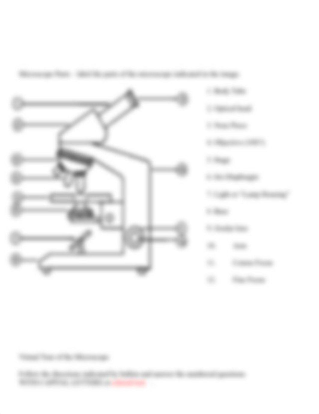 Virtual Tour of the Microscope Student handout(1)-1.docx_df4trvwxut3_page2