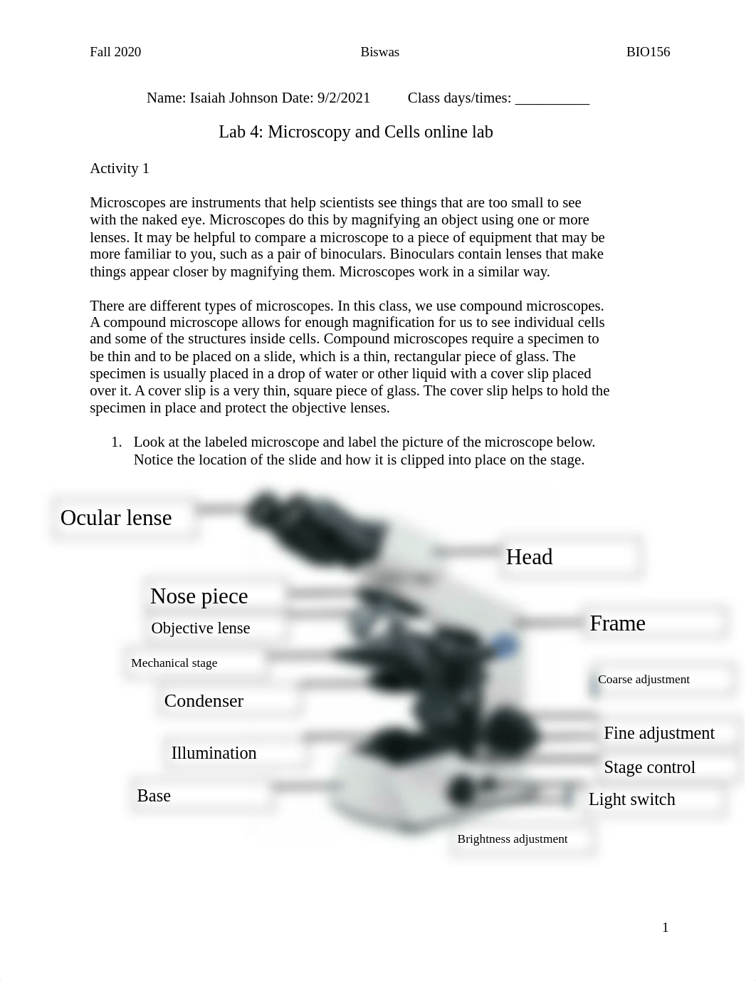 Lab 4 - Microscopy and Cells online lab-1.docx_df4u6lmzsu4_page1