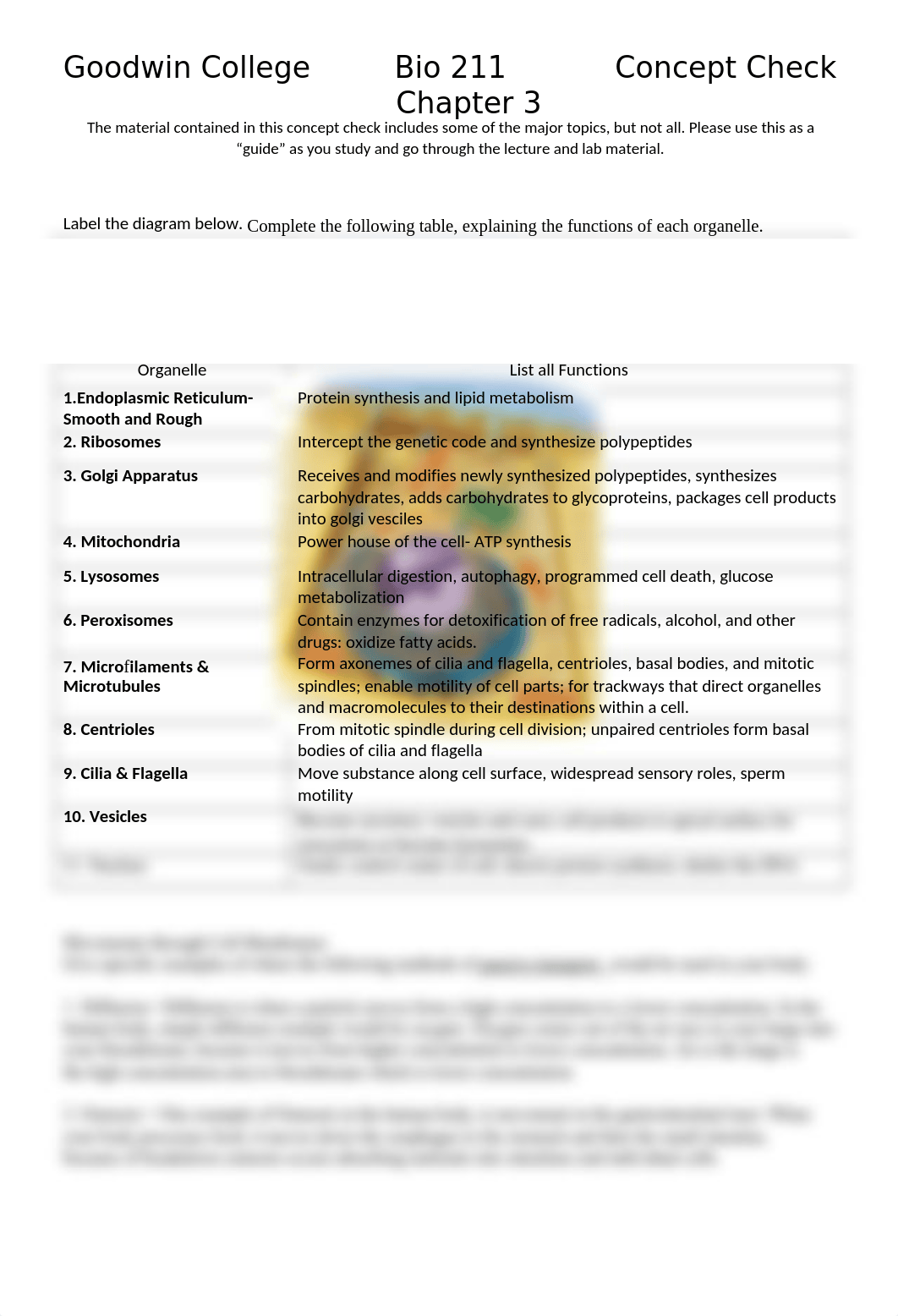 Chapter 3 Concept Check BIO211(1).doc_df4we8h3658_page1