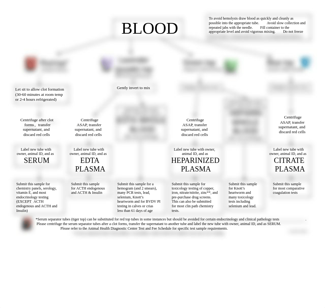 blood_tubes_and_labeling_guidelines_df4yxnaw5z3_page1