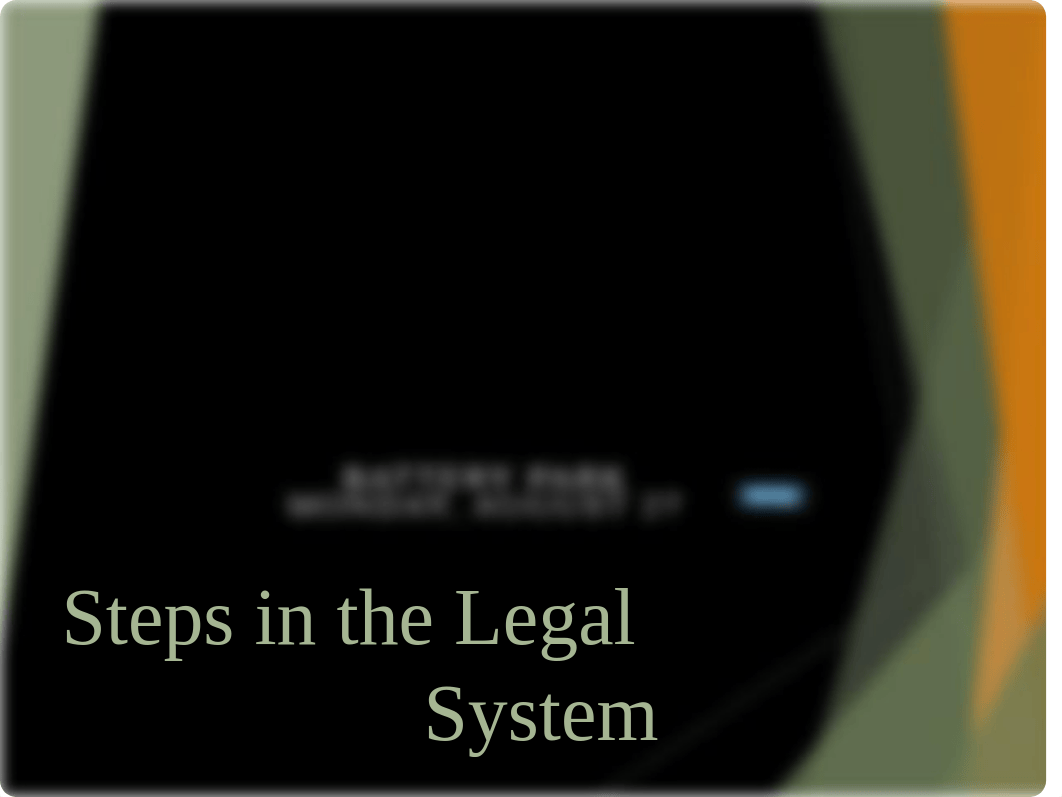 Legal System (Steps).pptx_df4zj0thcqr_page1