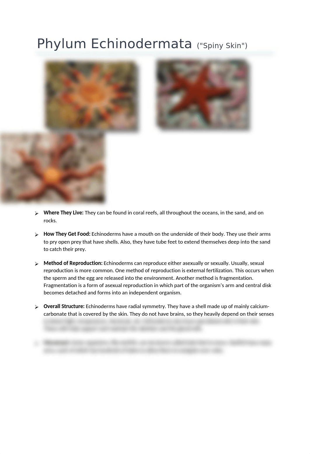 Phylum Echinodermata (COMPLETE)_df51ulhlrre_page1