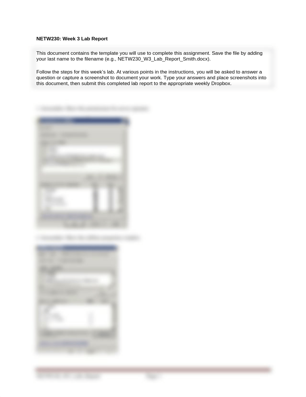 NETW230_W3_Lab_Report_df53w34gqiz_page1
