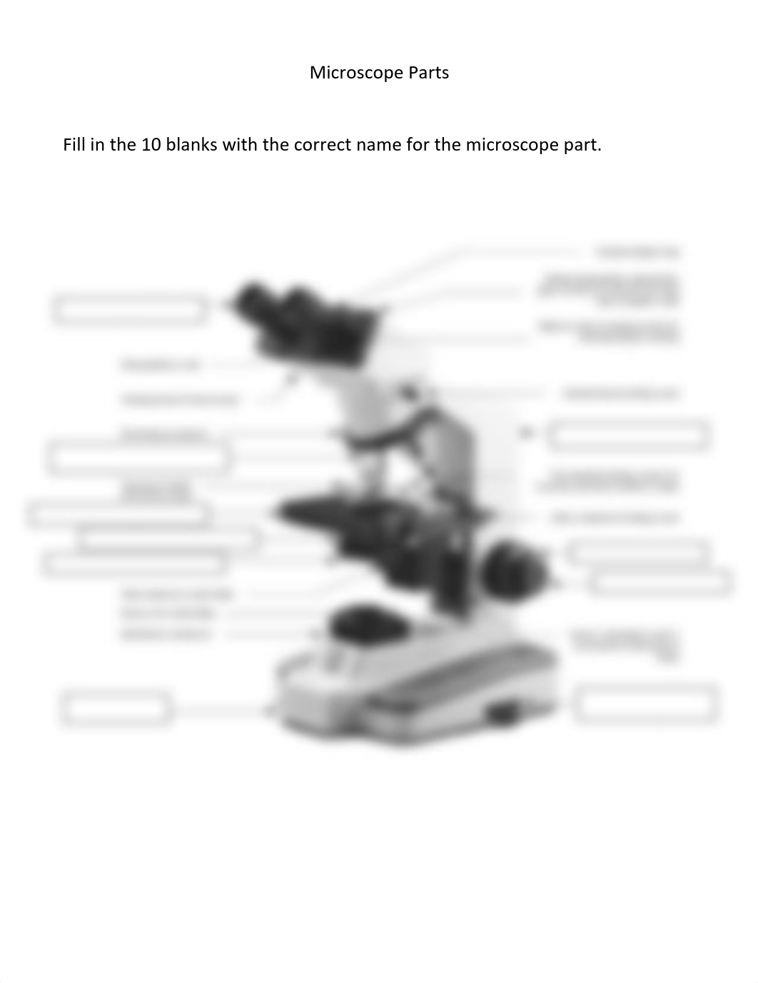 Basic Light Microscopy Handout.pdf_df55du16i8j_page1