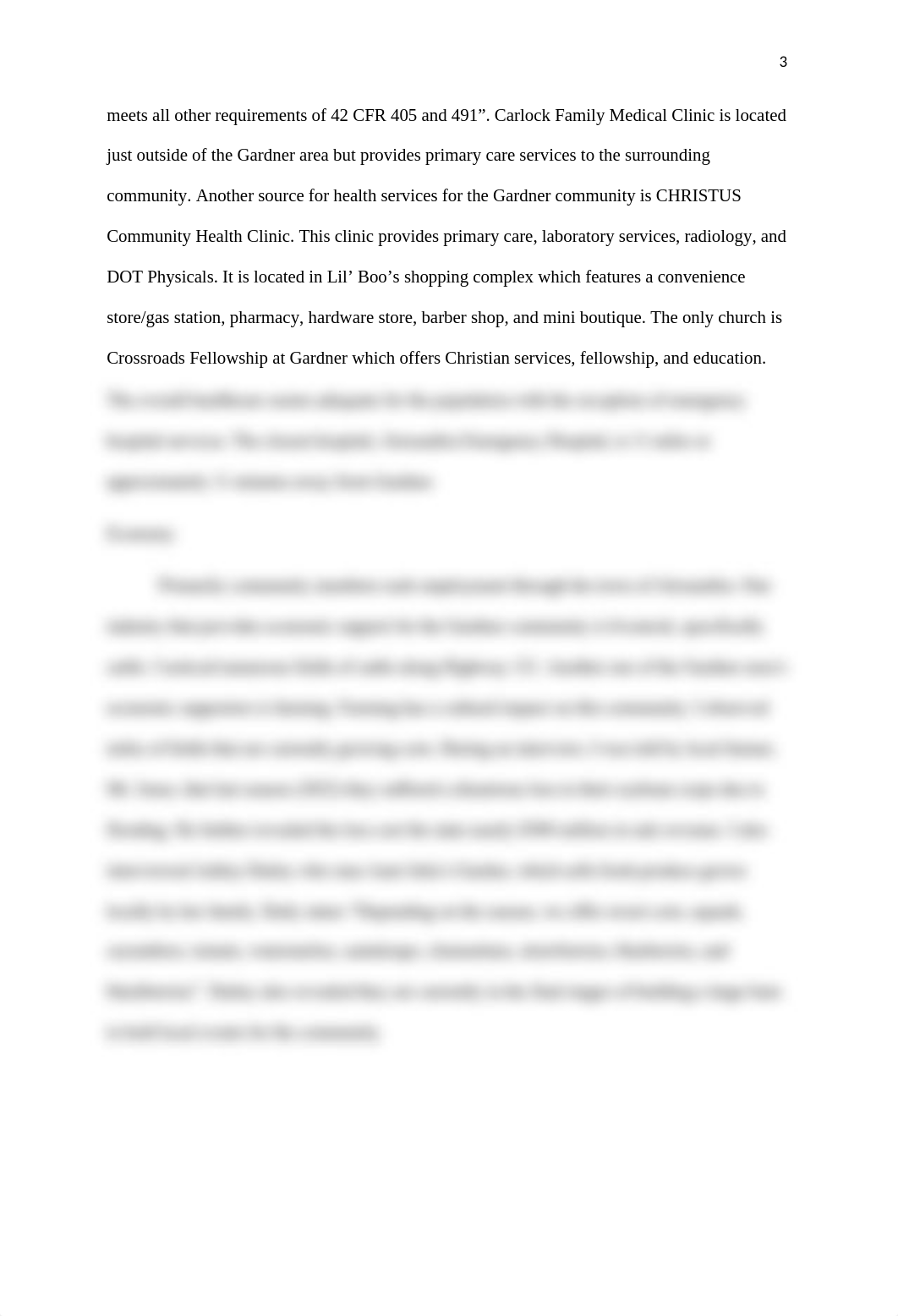 NURS4020_Windshield Survey Written Assignment.docx_df59zs8zey4_page3