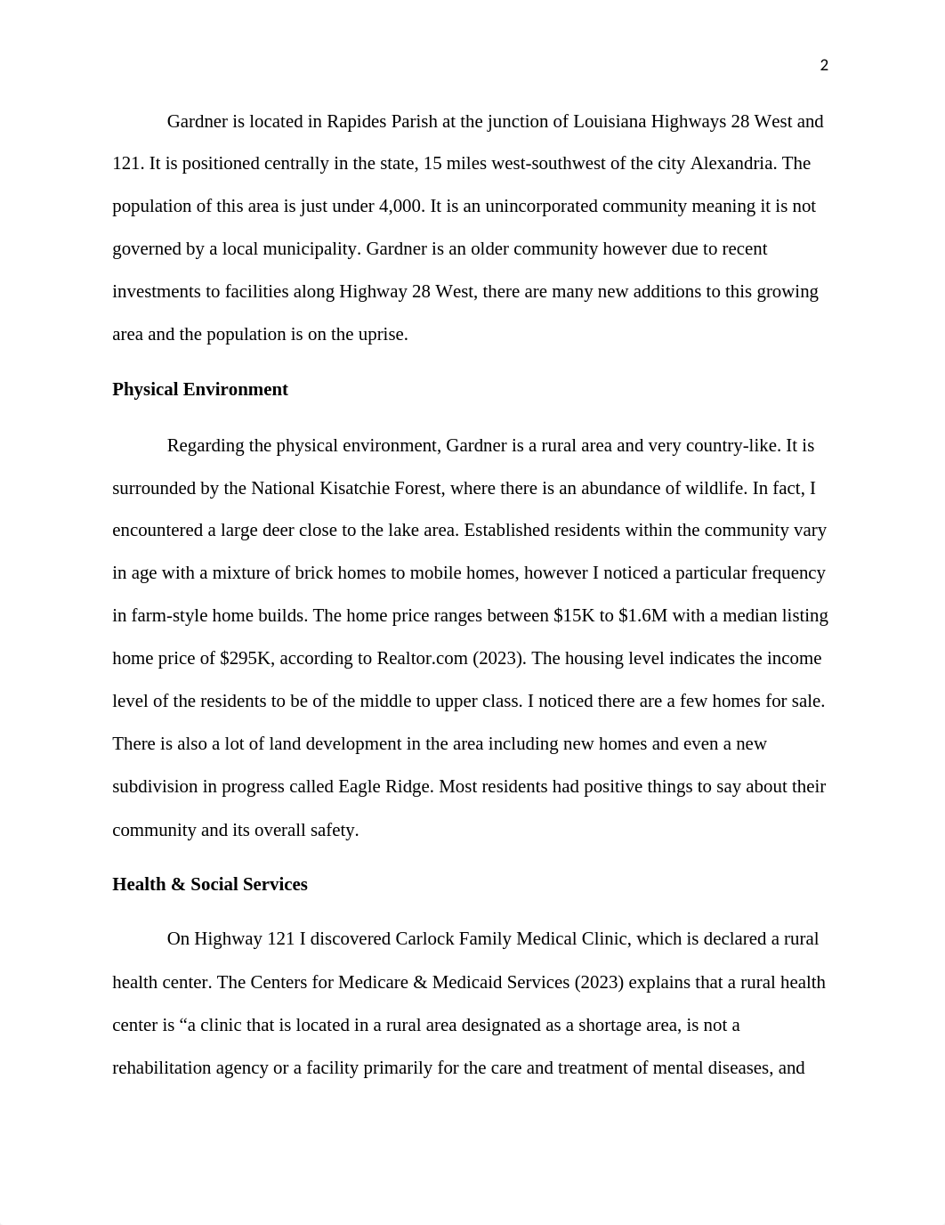 NURS4020_Windshield Survey Written Assignment.docx_df59zs8zey4_page2