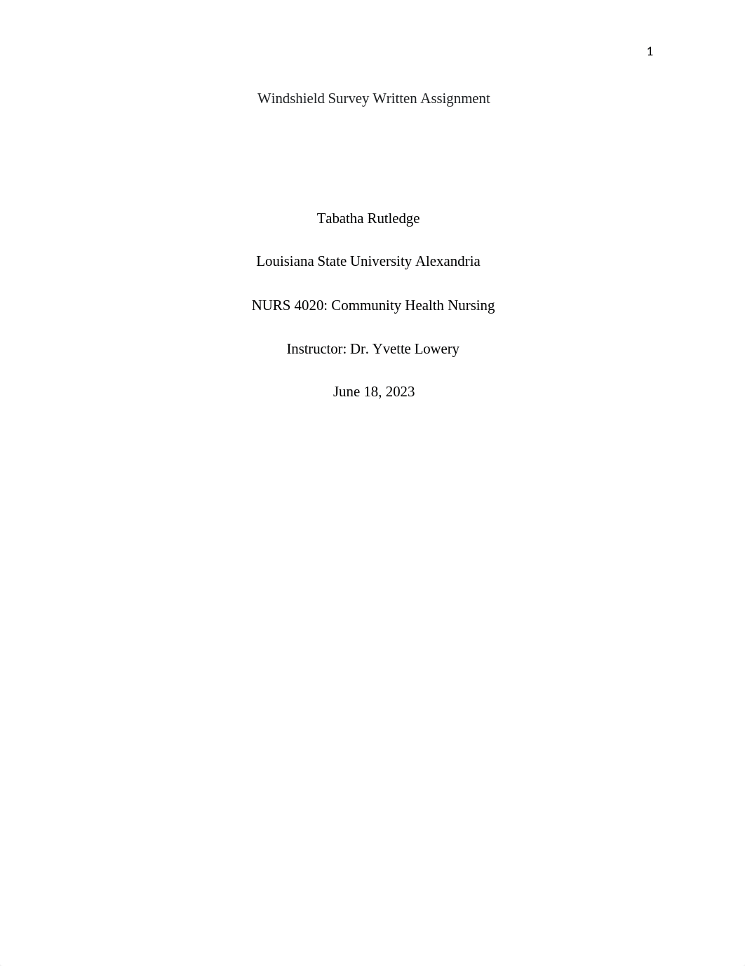 NURS4020_Windshield Survey Written Assignment.docx_df59zs8zey4_page1