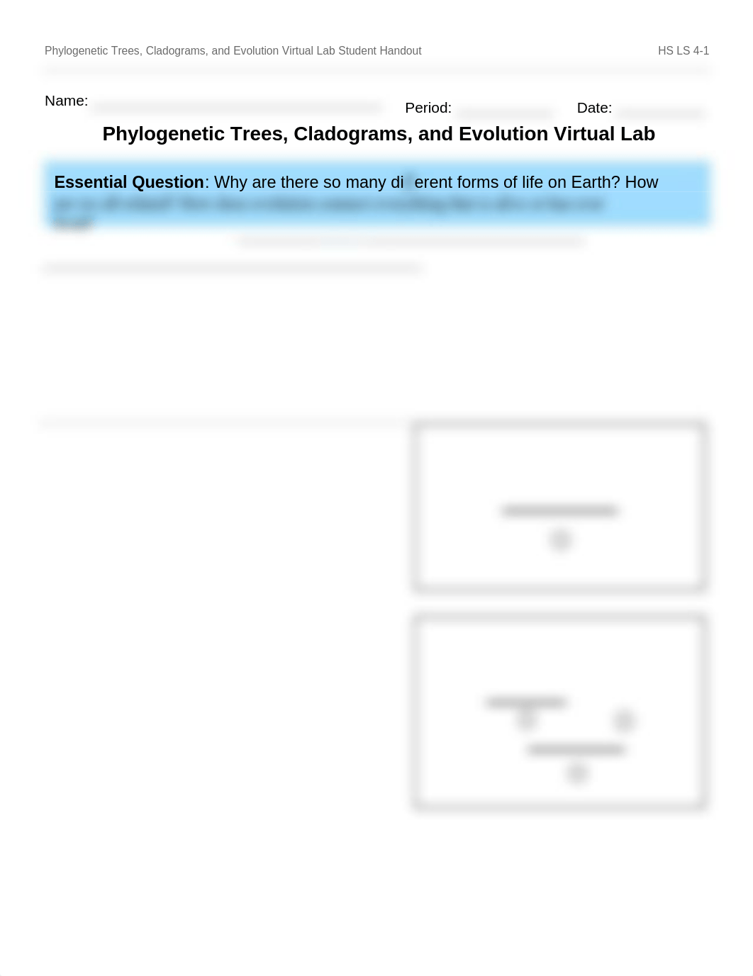 Virtual Lab Phylogenetic Trees DNA Evidence.docx_df5ow26fwdo_page1