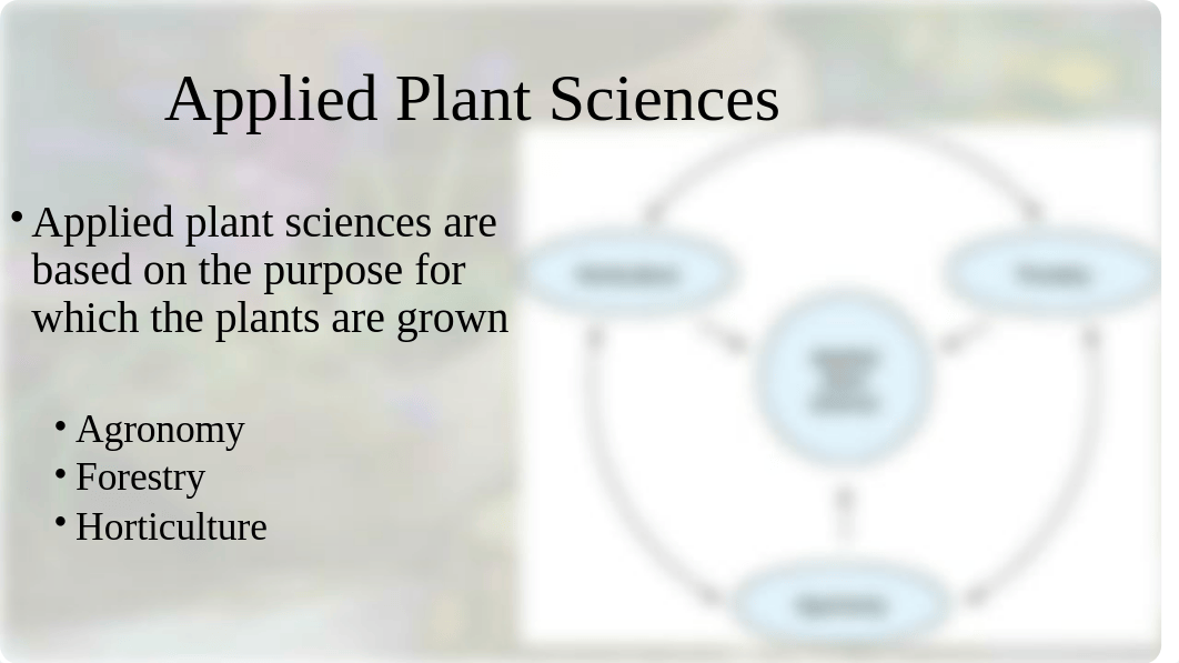 Wk 1 What is Horticulture(1)(1)(1).ppt_df5pic6zb1b_page3