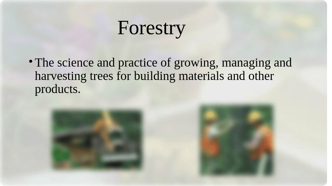 Wk 1 What is Horticulture(1)(1)(1).ppt_df5pic6zb1b_page5