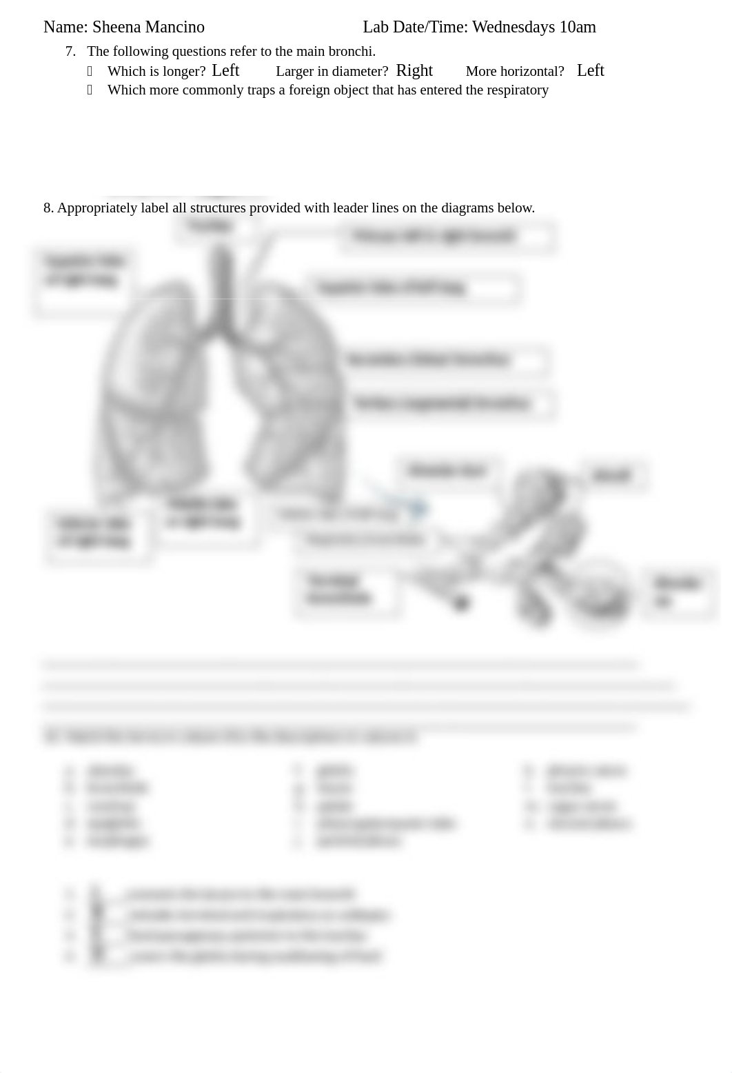 Lab exercise 6(1).docx_df5qsid3gzs_page2