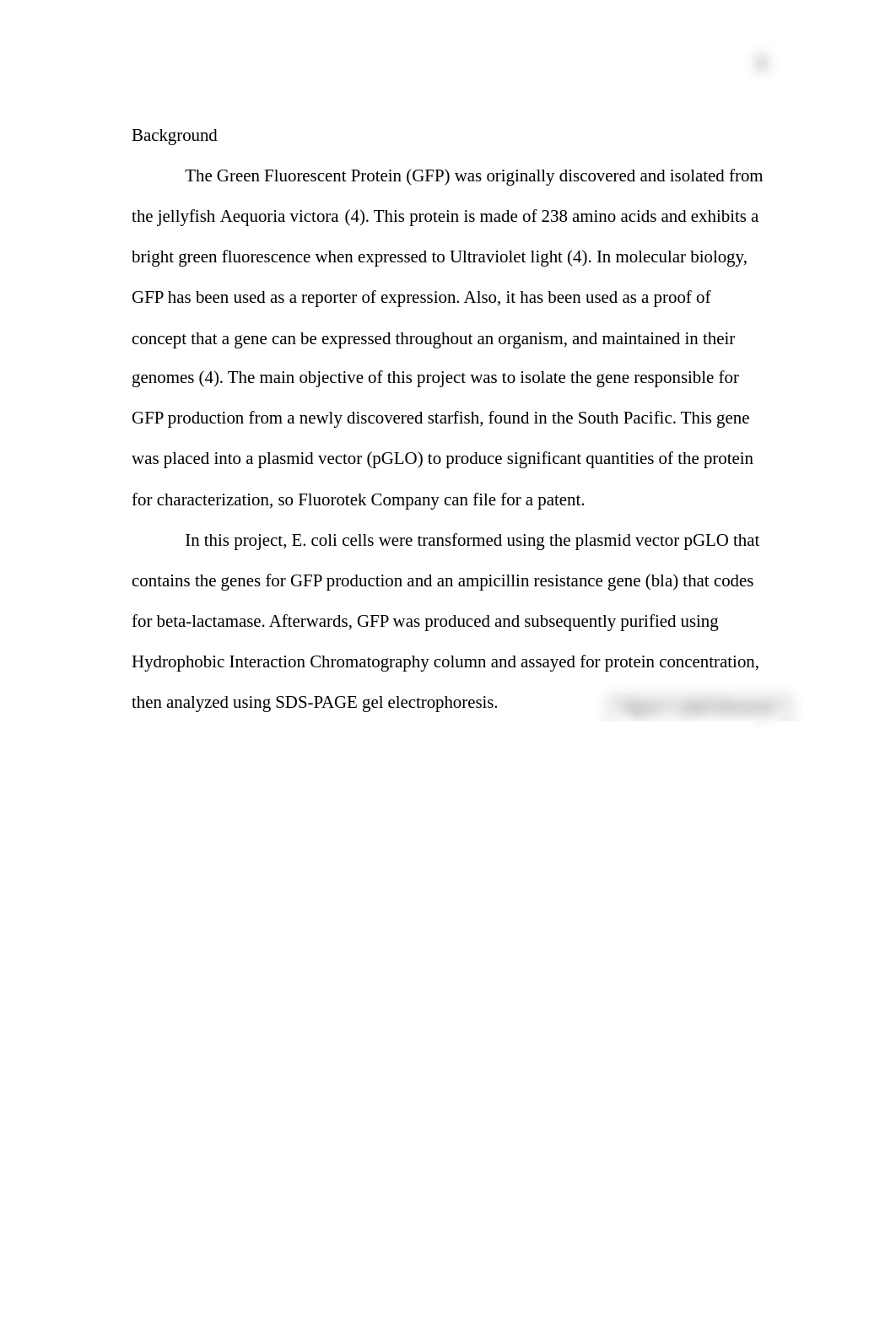 Example 2.docx_df5scvlr3cx_page2