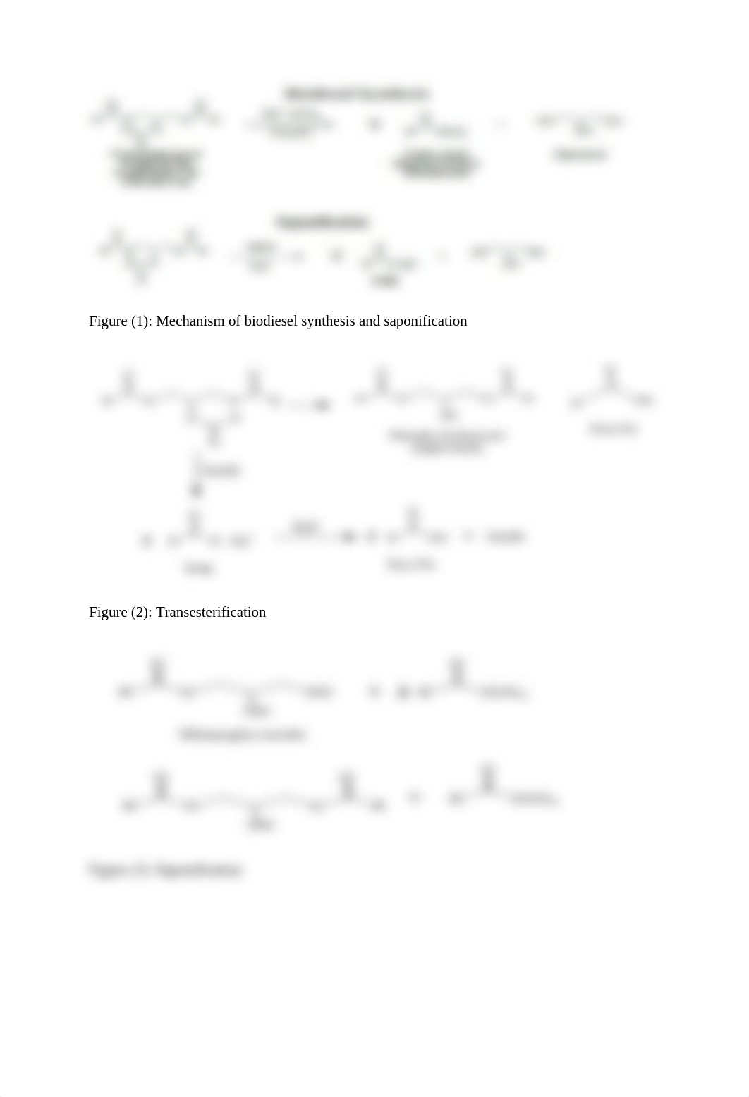 Synthesis of Biodiesel and Soap_df5v3jh3859_page3