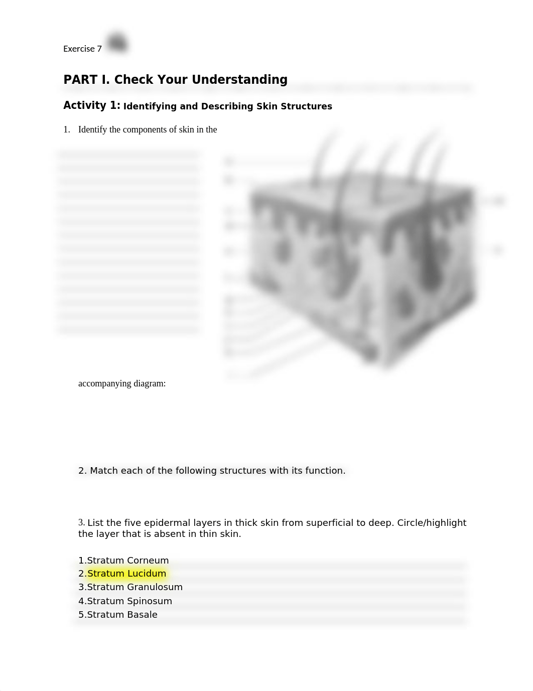 4. Unit 4 laboratory exercise 7 (1).docx_df61lrd3plv_page1