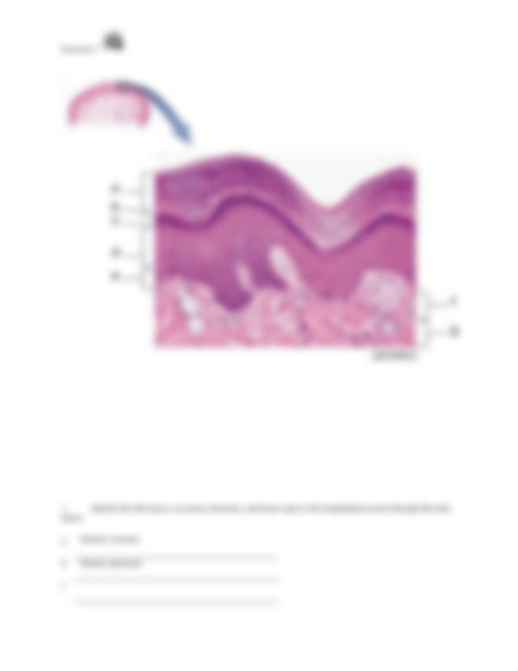 4. Unit 4 laboratory exercise 7 (1).docx_df61lrd3plv_page4