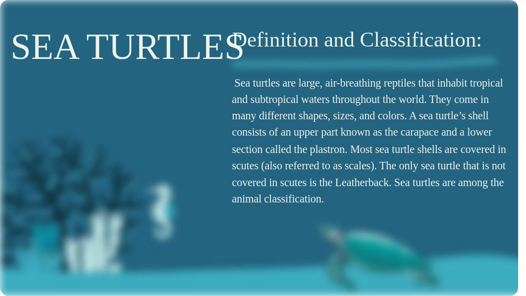 Levels of Organization of Sea Turtles.pdf_df68wbvqf2h_page2