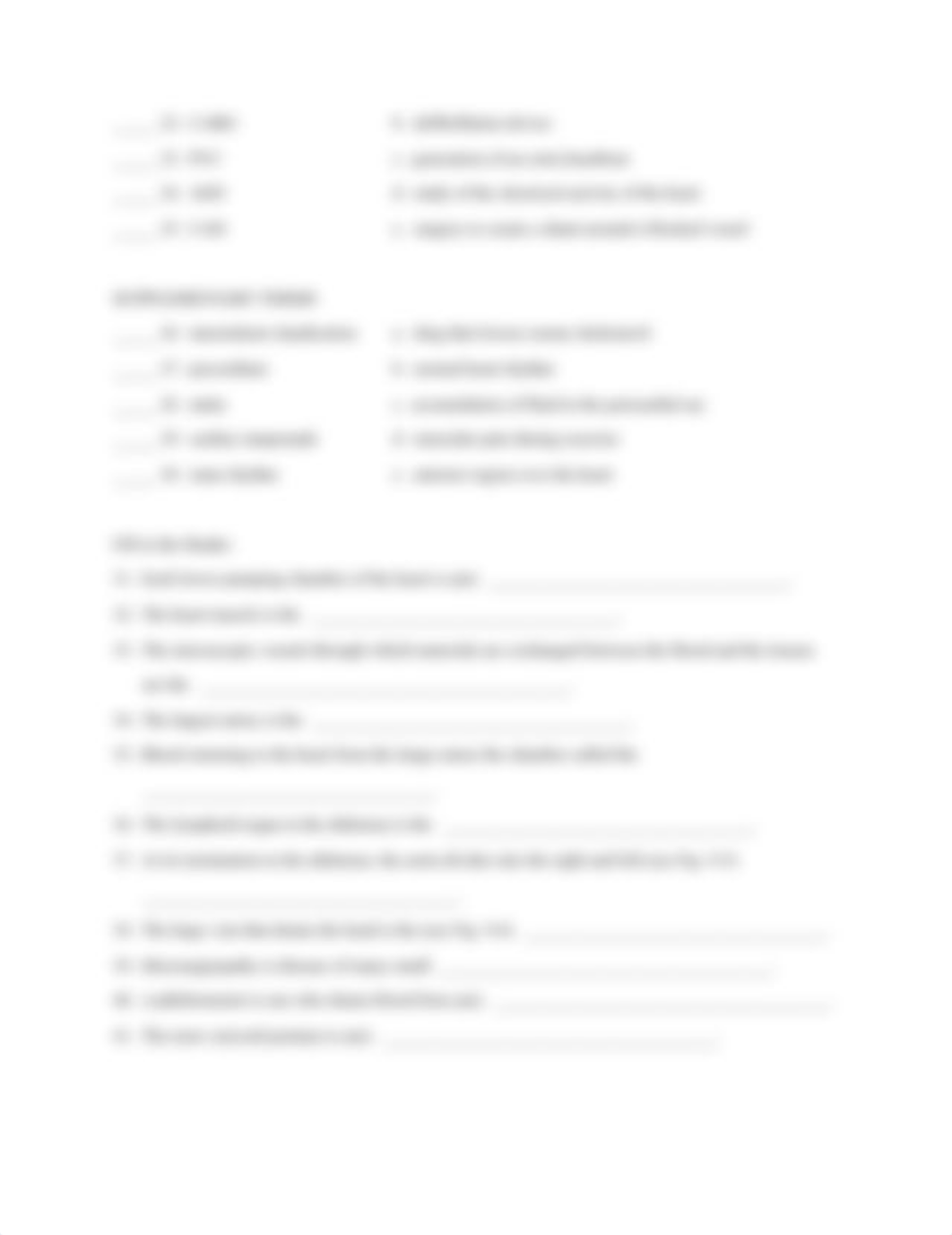 Chapter 8 Circulatory System Worksheet.docx_df6c29jb0td_page2