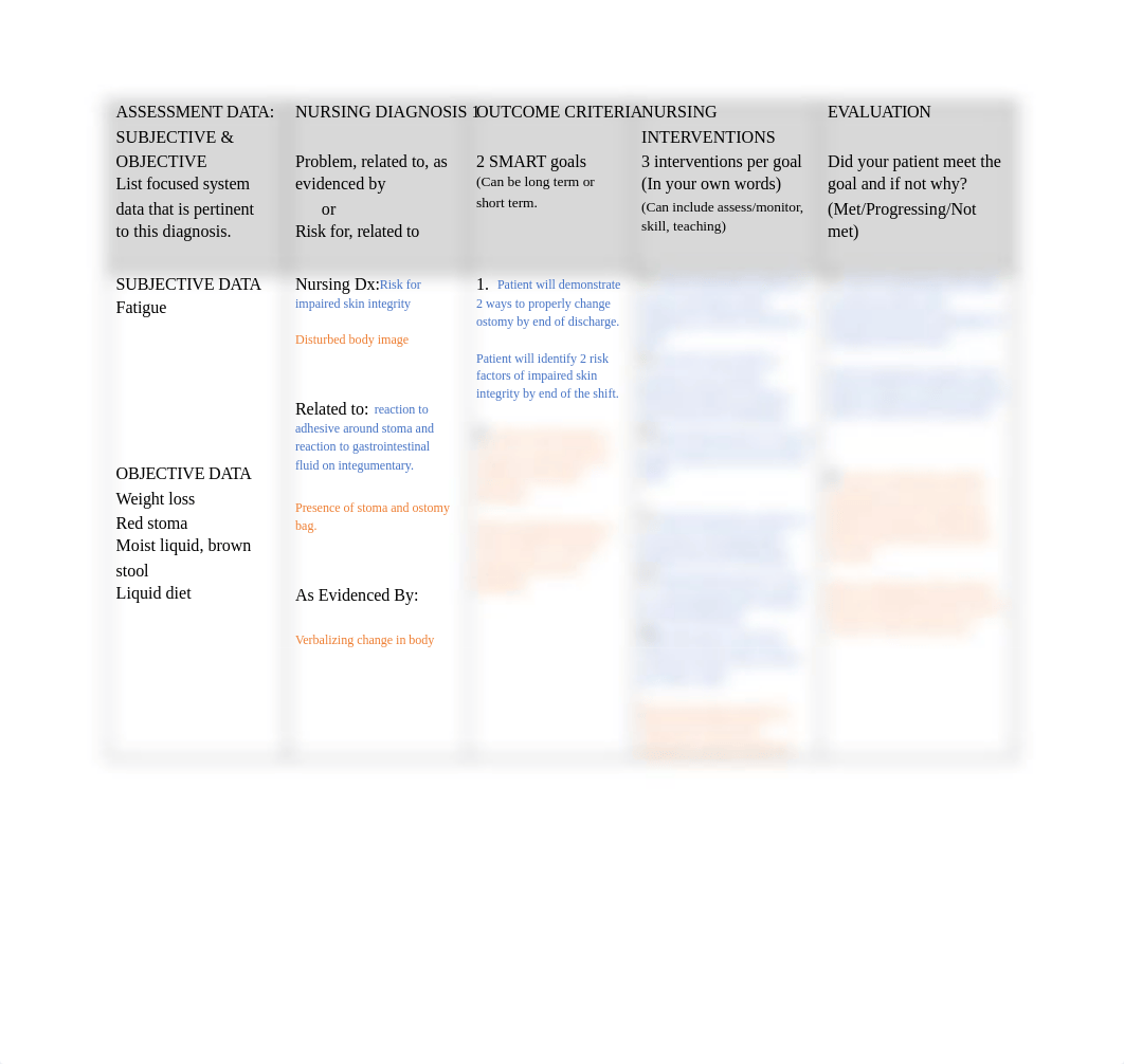 NUP 350 Care Plan template 8.docx_df6f5hb3g9i_page1