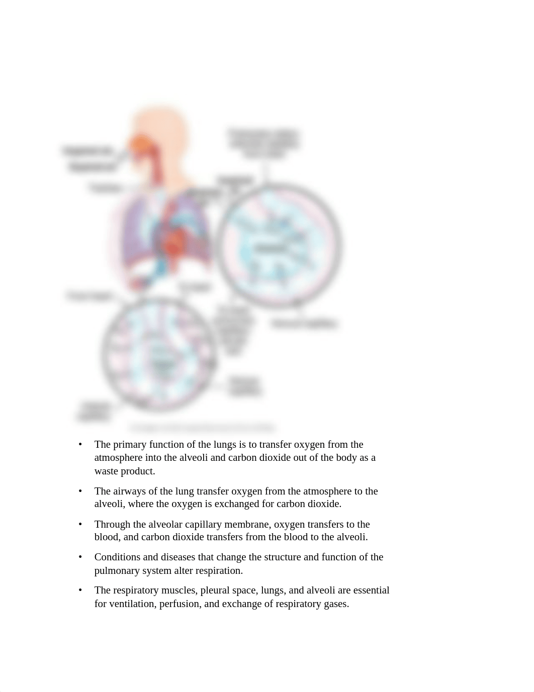 Chapter 38 Oxygenation outline   andrews.docx_df6ljzg6h0y_page3