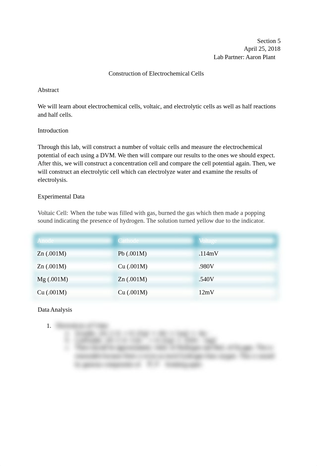 Construction of Electrochemical Cells.docx_df6q8b38vcn_page2