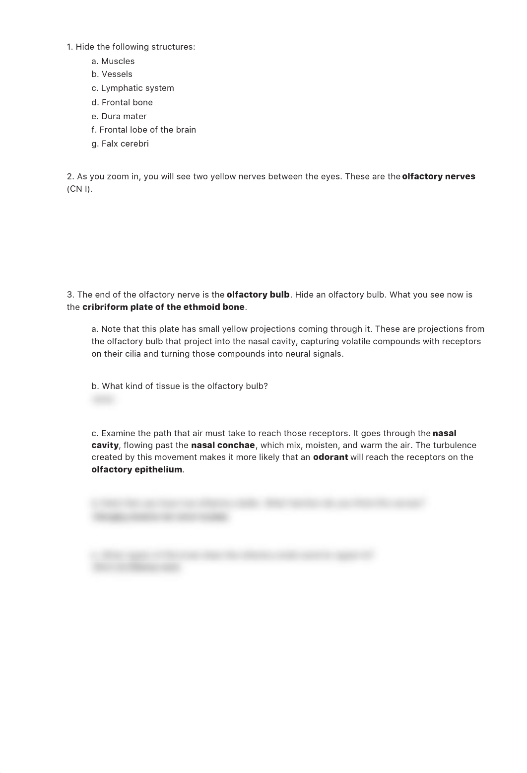 lab manual_senses taste smell_atlas copy Bio 200-L23.pdf_df6wsye79ix_page4