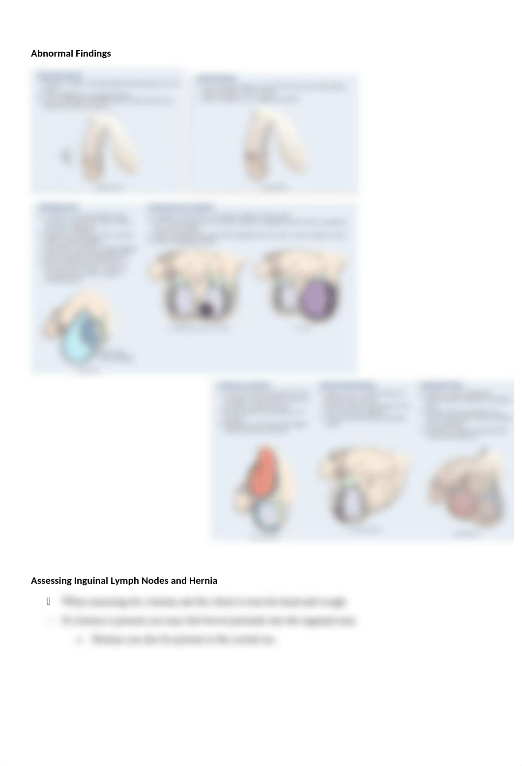 HA Exam 2-- Male:Female Reproduction.docx_df71qfsj6nw_page2