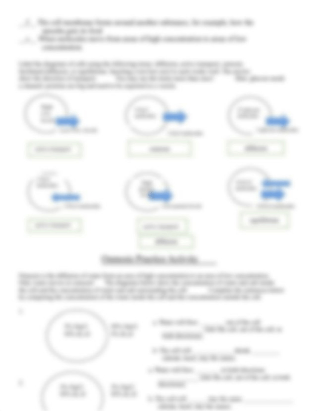 Cell Transport worksheet1.docx_df72w81myn7_page2