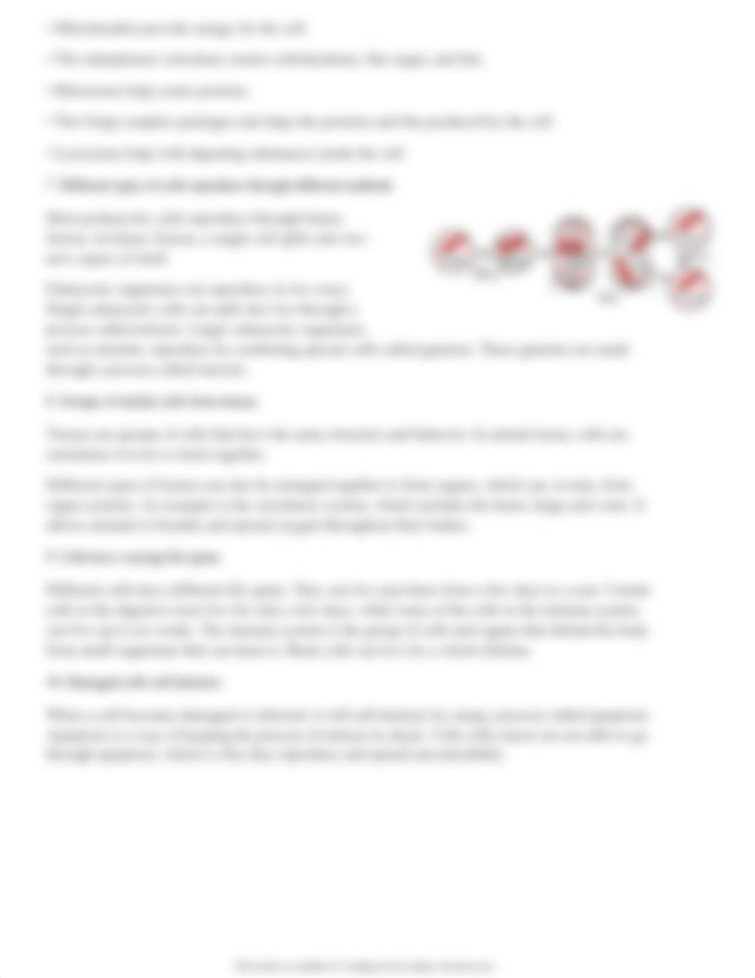 The facts about cells Article.pdf_df76sxnyja7_page3