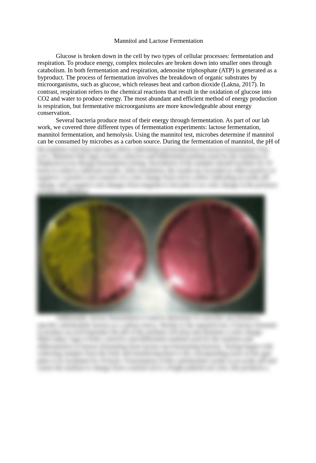 Mannitol and Lactose Fermentation.docx_df7ectb5jg8_page1