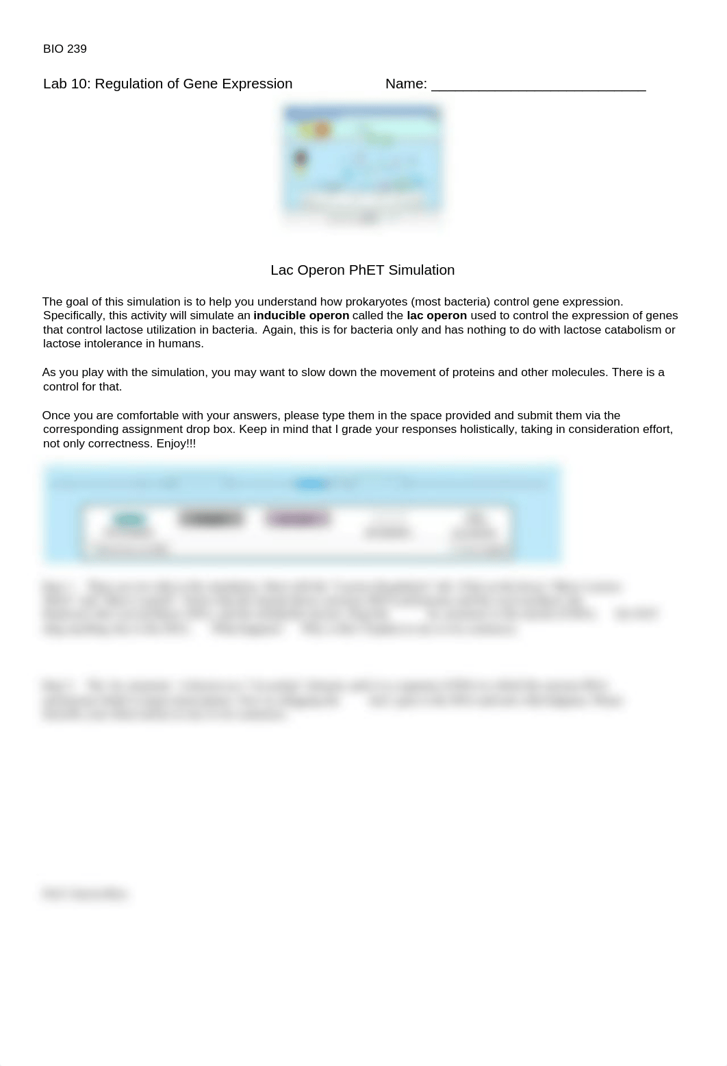 Lac Operon PhET Simulation Instructions.docx_df7i7ikawu4_page1