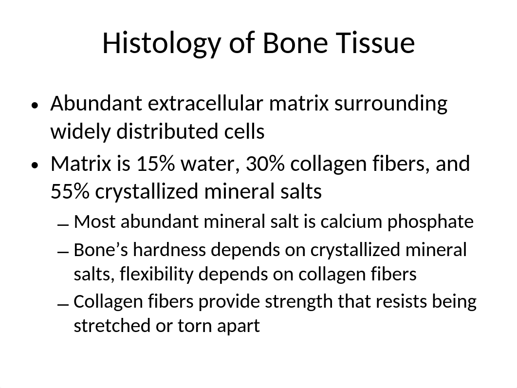 BIO231Bone_df7ii40yfpk_page4