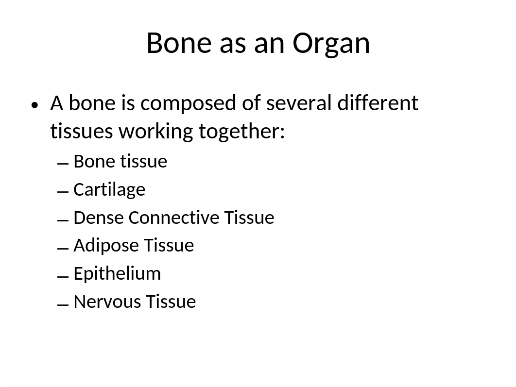 BIO231Bone_df7ii40yfpk_page3