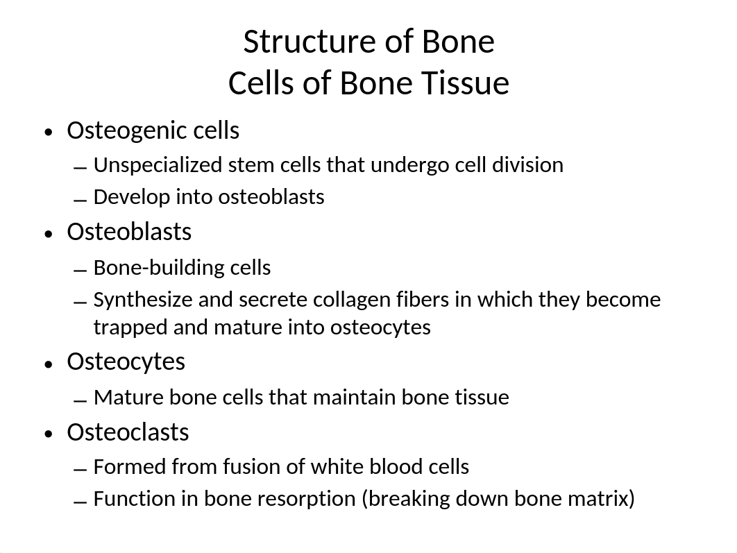 BIO231Bone_df7ii40yfpk_page5