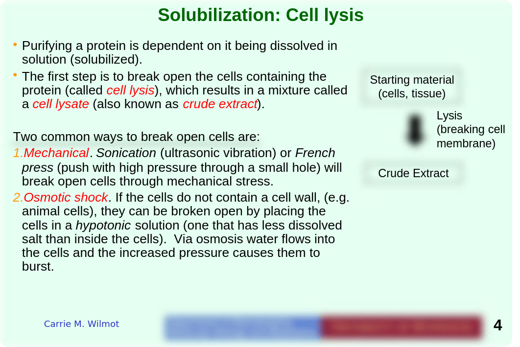 Wilmot lecture 10-updated.pptx_df7jpi7h9a2_page4