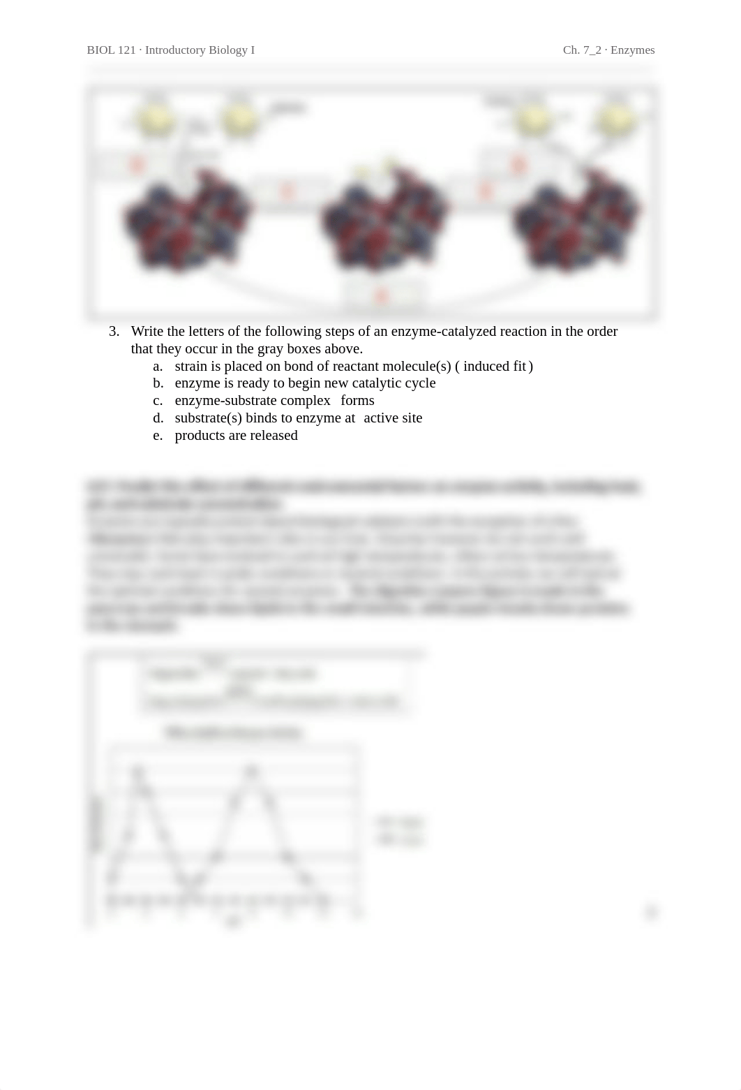 Ch. 7_2 Enzymes_RH.pdf_df7kazah30x_page2