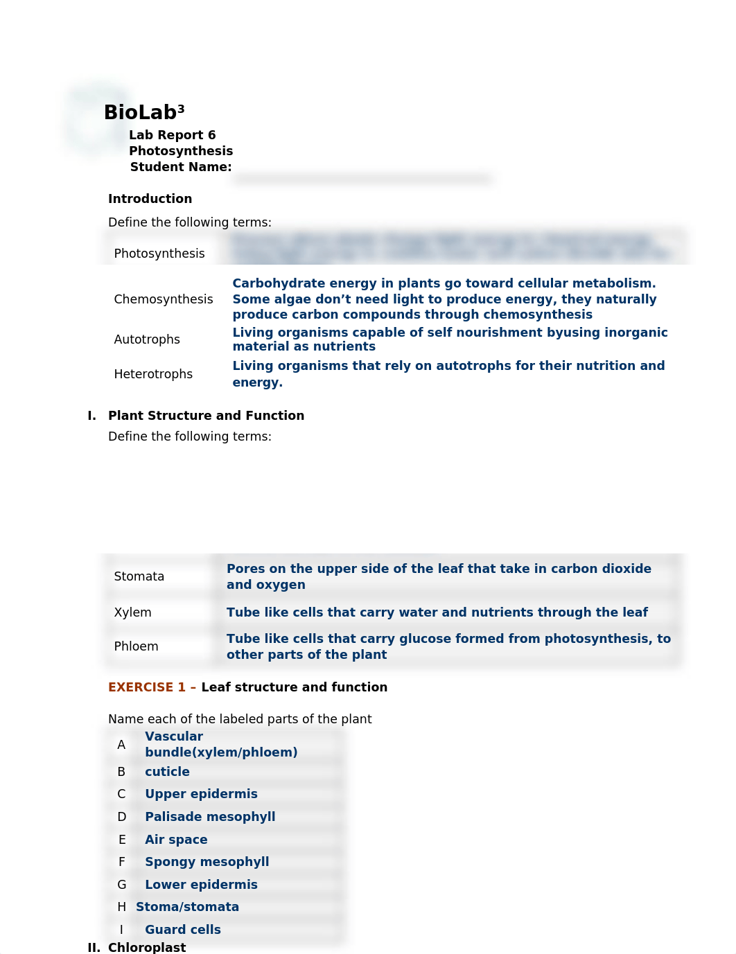 Biol-1408-24401 Photosynthesis Lab report Alexis christman_df7ty8wltkt_page1