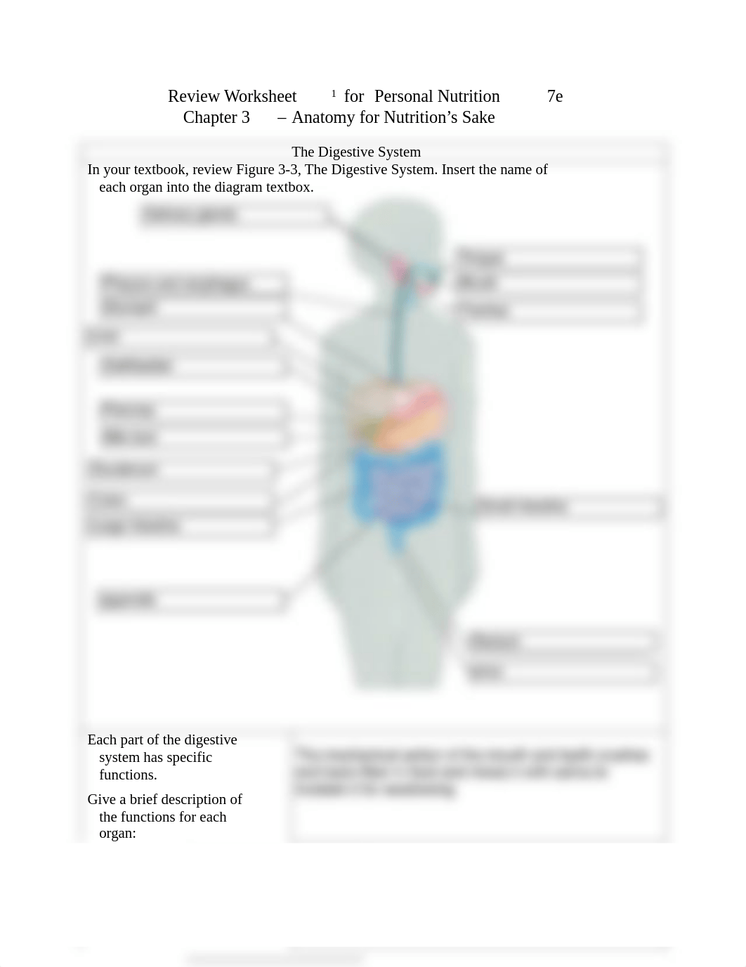 CH03 Review Worksheet (Pope1e).pdf_df7v4f8cutp_page1