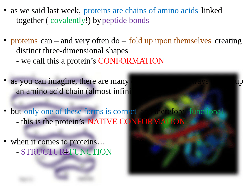 3_3D Protein Structure - S12.pptx_df7vaozt7fl_page2