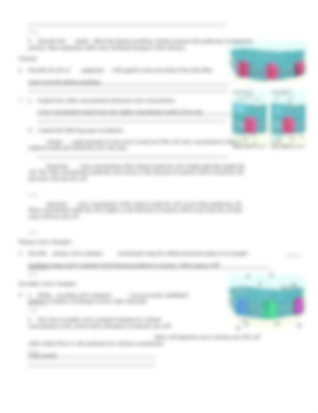 Transport across the plasma membrane.doc_df7xfse20mc_page2