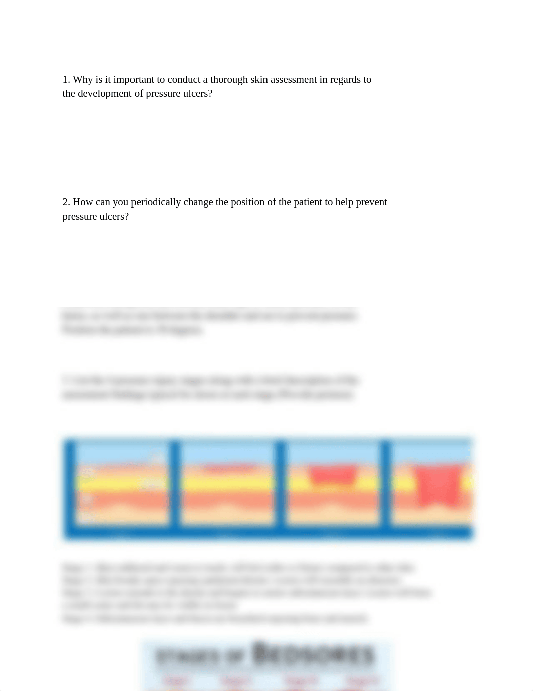 skin assessment .pdf_df7xoovhnld_page1