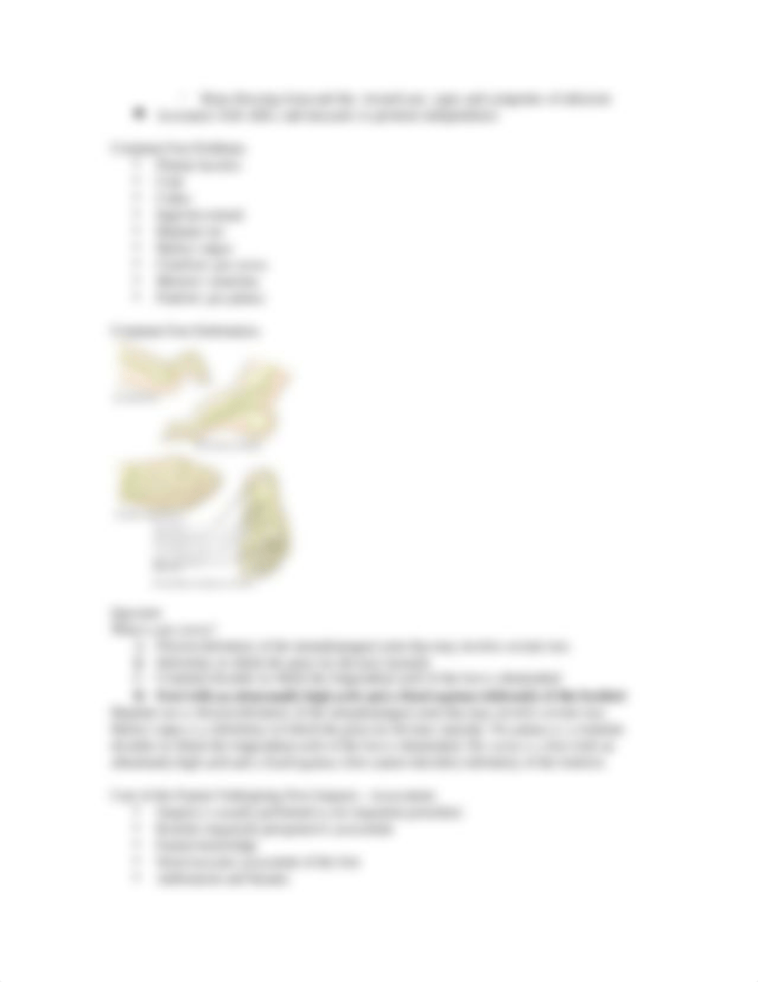 Musculoskeletal Disorders_df7y4tyovue_page5