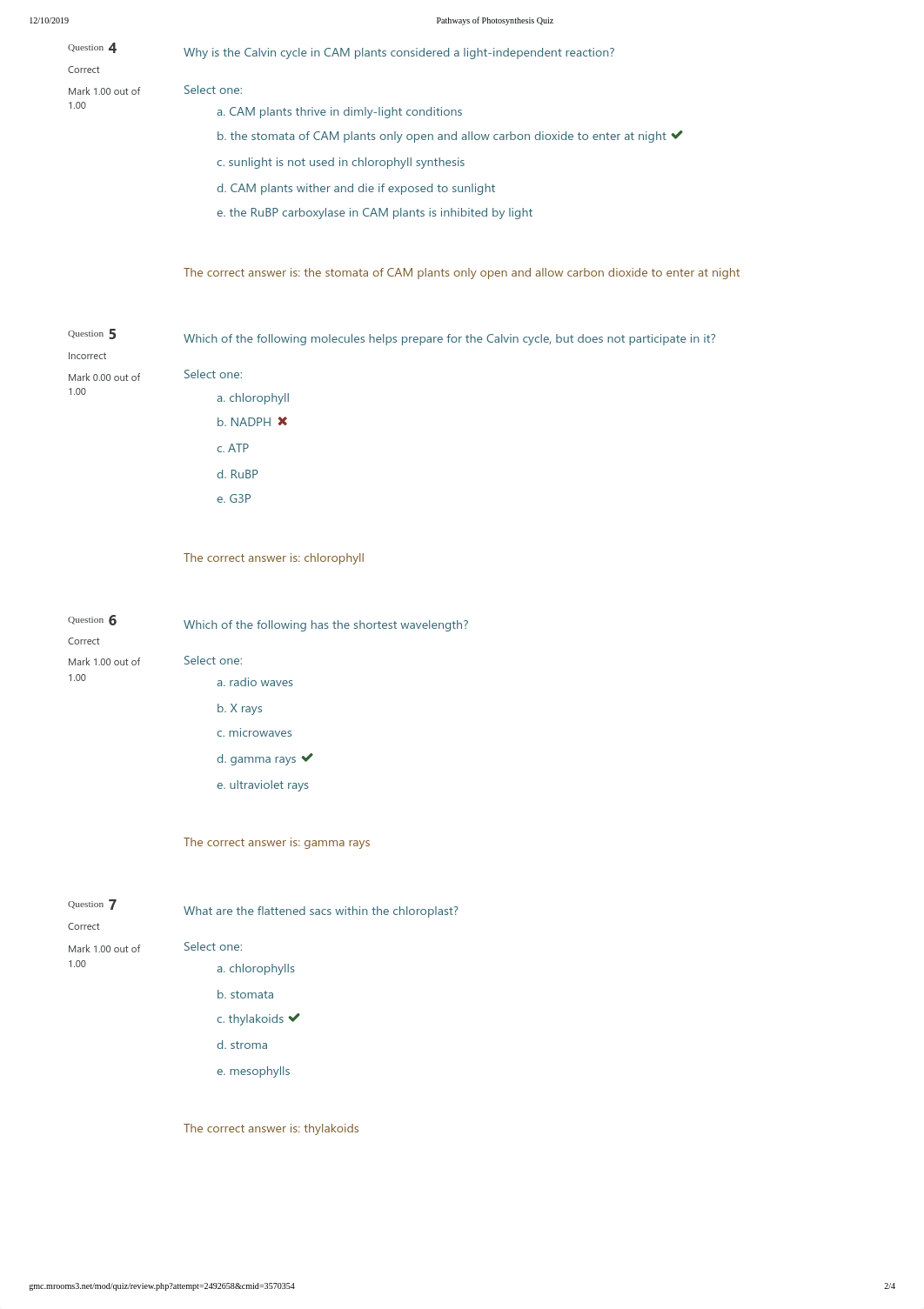 week 3 Pathways of Photosynthesis Quiz.pdf_df82bd0btw4_page2
