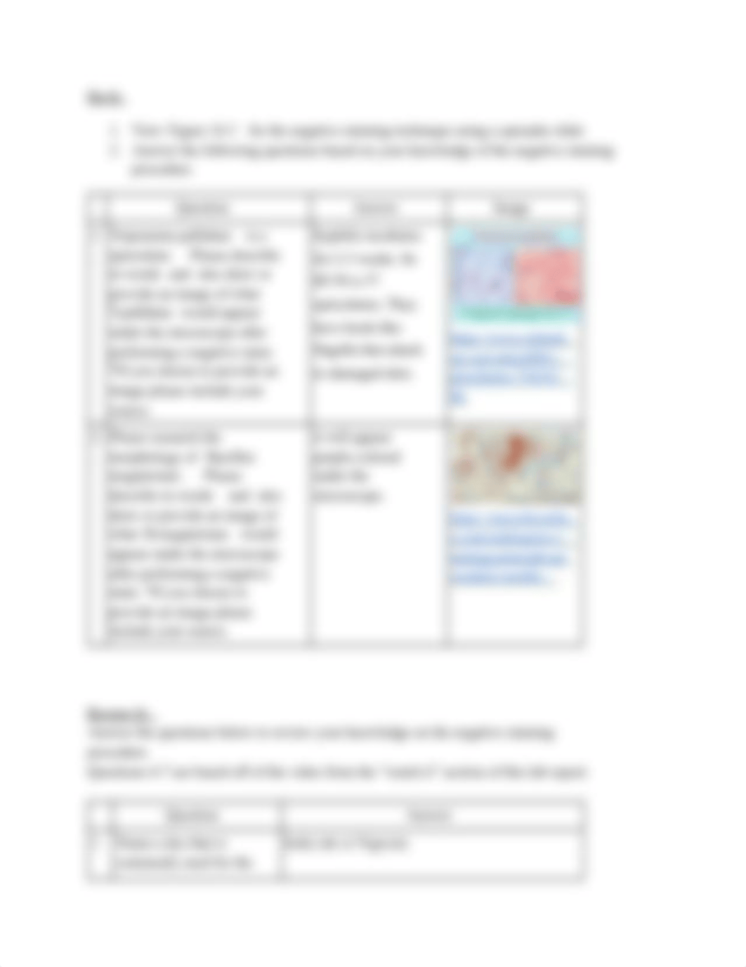 Lab 16_ Negative Staining.pdf_df83w2rpu8u_page2