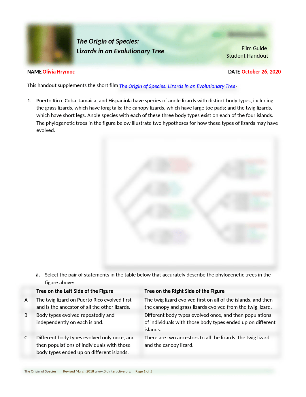 Lab7_Hrymoc.docx_df8ax9lr82z_page1