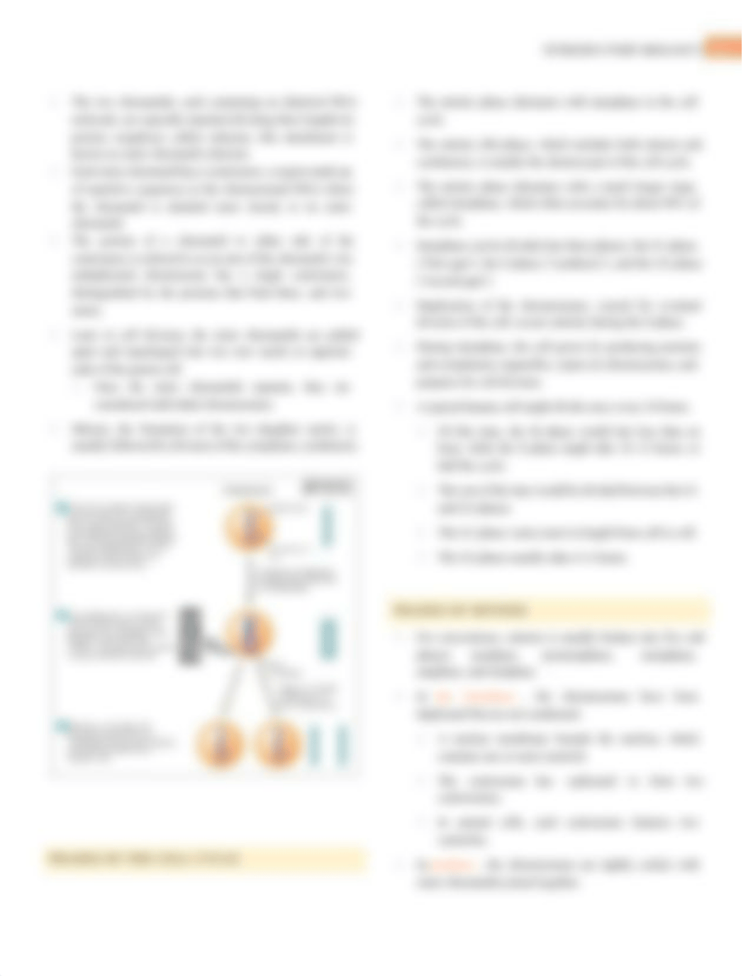 Campbell Biology - Chapter 12 Summary - Mitosis.pdf_df8erryivlp_page2