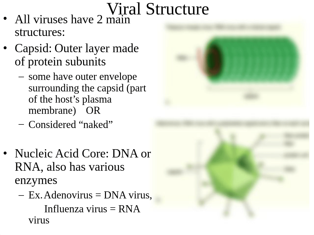 Ch20-103.ppt_df8jq1zho8i_page3