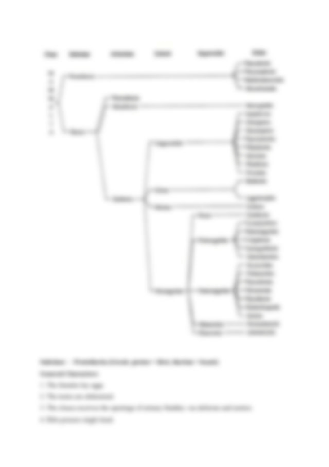 4.4. General characters and classification of mammals.pdf_df8q6qq6vst_page4