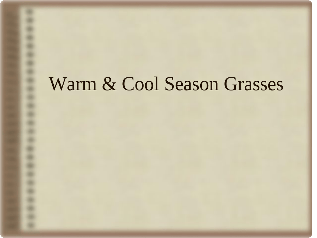 Warm & Cool Season Grasses_df8qu4mir56_page1