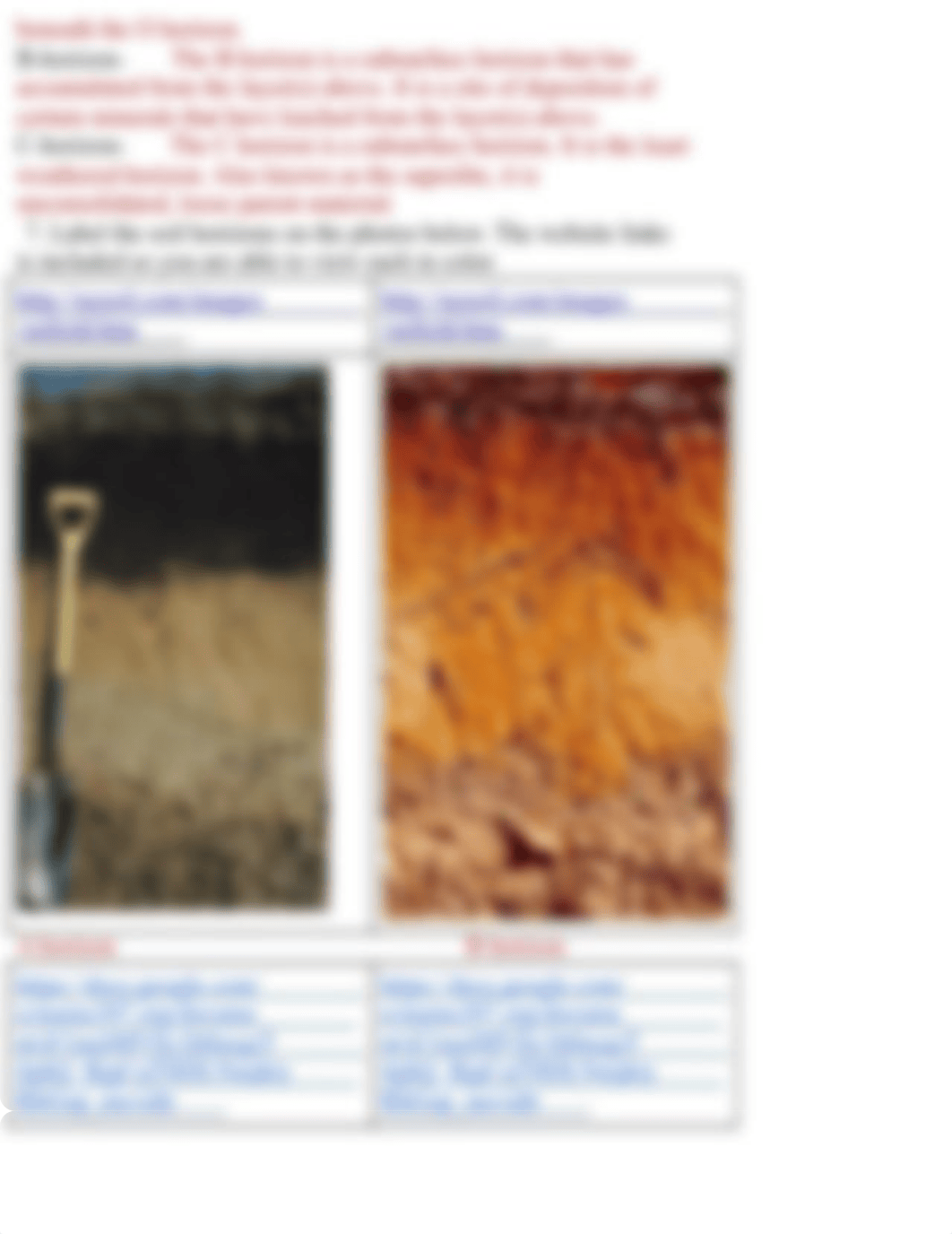 MycopyofSoilwebquest_df8qztw8ptc_page3