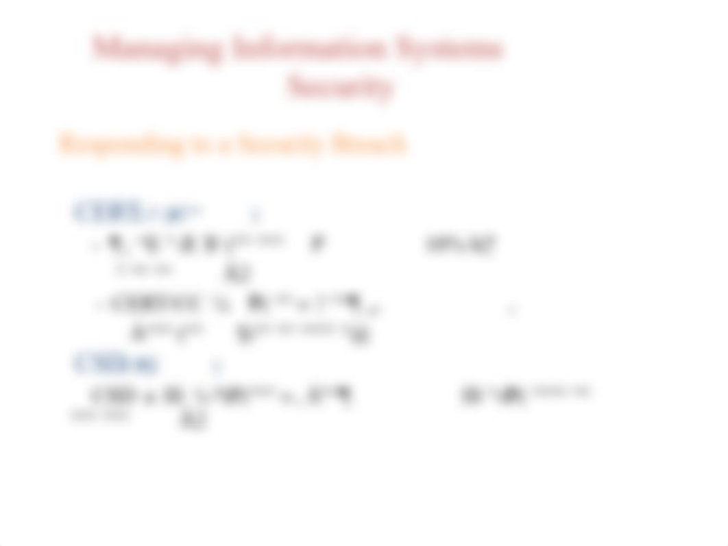 Managing Information Systems Security_df8sqs749re_page4